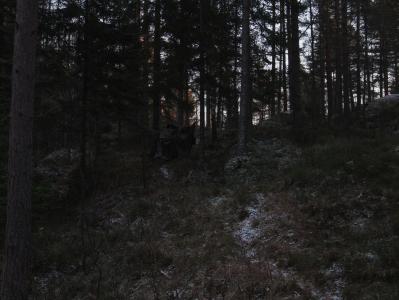 post-11507-0-23117900-1387108421_thumb.j