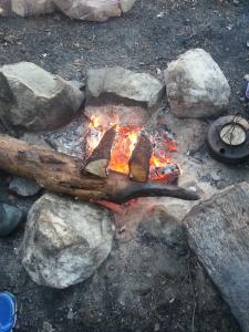 post-11911-0-01095800-1386344752_thumb.j