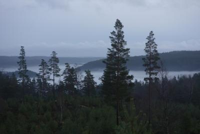 post-13043-0-48788000-1388080082_thumb.j