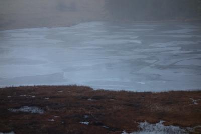 post-13043-0-86374000-1388080056_thumb.j