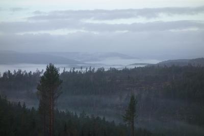 post-13043-0-89509700-1388080124_thumb.j