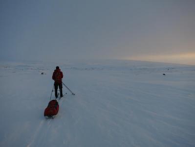 post-13206-0-00910000-1386609751_thumb.j