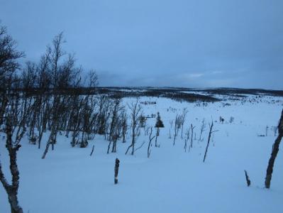 post-13206-0-12025600-1388440270_thumb.j