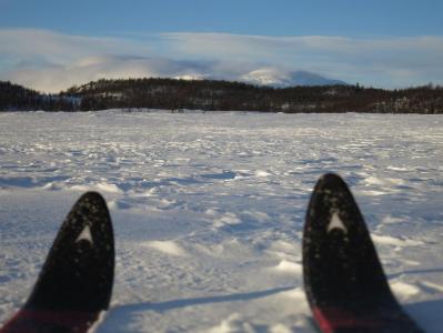 post-13206-0-45926100-1388441727_thumb.j