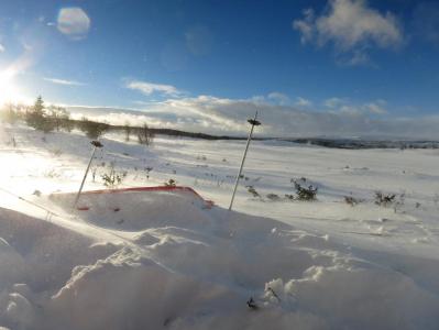 post-13206-0-68292800-1388439967_thumb.j