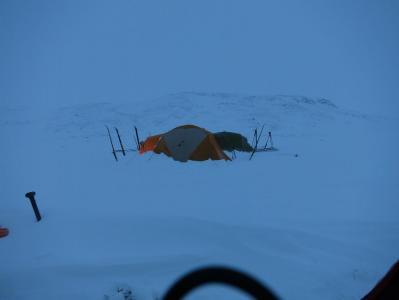 post-13206-0-80735200-1386609989_thumb.j