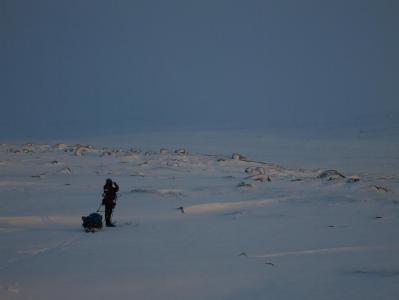 post-13206-0-92743500-1386609754_thumb.j