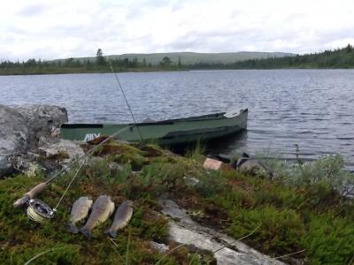 post-3730-0-76104500-1387150314_thumb.jp