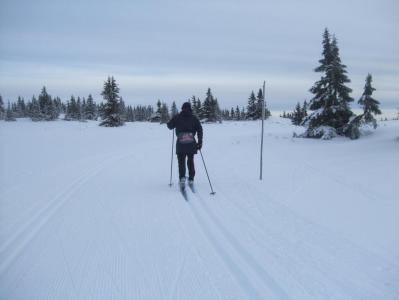 post-4016-0-22727400-1388482753_thumb.jp