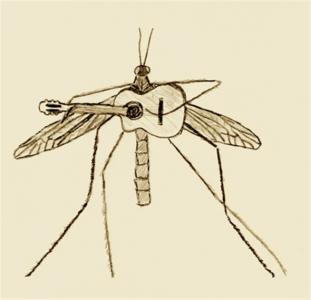 post-4016-0-23925900-1387464489_thumb.jp