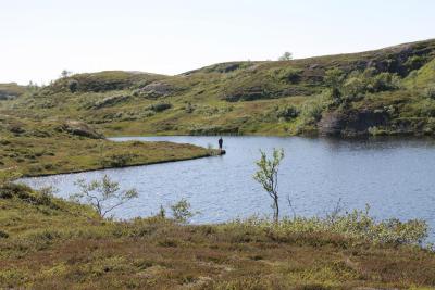 post-4016-0-29086300-1388499531_thumb.jp