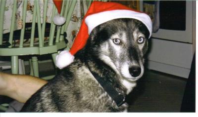 post-5952-0-13759300-1387745717_thumb.jp