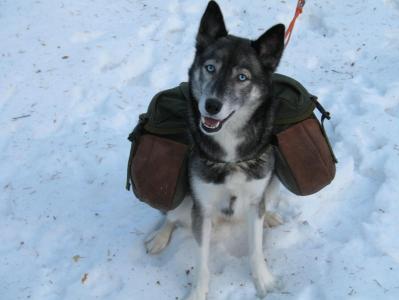 post-5952-0-49088800-1386849845_thumb.jp