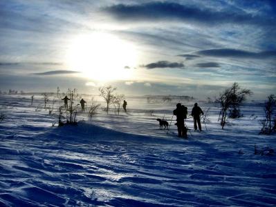 post-7957-0-00949200-1386183441_thumb.jp