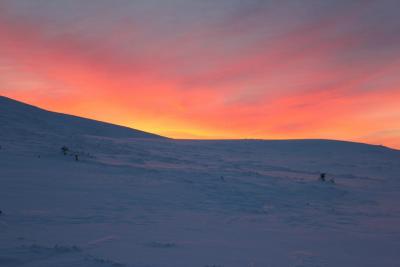 post-8184-0-66465100-1388490658_thumb.jp