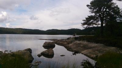 post-8488-0-03068700-1387130356_thumb.jp