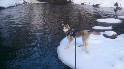 post-8488-0-05039100-1387112878_thumb.jp