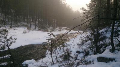 post-8488-0-41061200-1387112942_thumb.jp