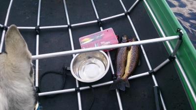 post-8488-0-80298900-1387130282_thumb.jp