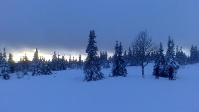 post-9992-0-71063500-1388513877_thumb.jp