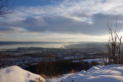 post-10468-0-07393000-1419110903_thumb.j