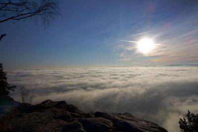 post-10468-0-15119200-1418243099_thumb.j