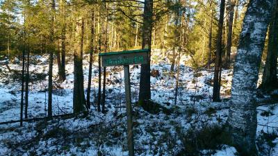 post-12030-0-95407700-1420061689_thumb.j