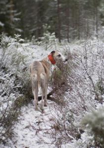 post-15624-0-46110600-1418120851_thumb.j