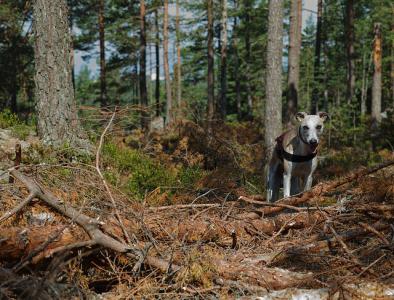 post-15624-0-66410500-1418120894_thumb.j