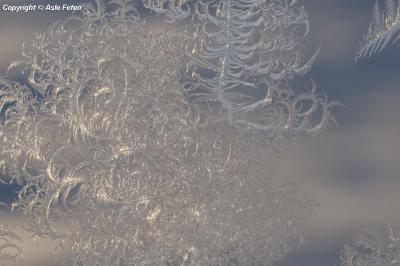 post-2690-0-07099200-1418243129_thumb.jp