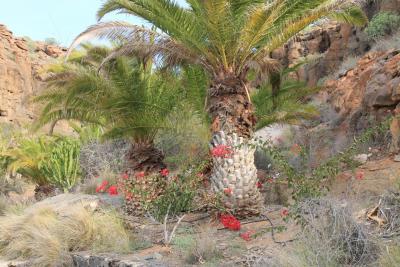 post-4016-0-28968700-1418662365_thumb.jp