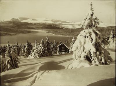 post-4016-0-60974600-1419467930_thumb.jp