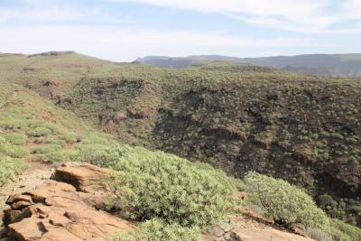 post-4016-0-63401200-1418662164_thumb.jp