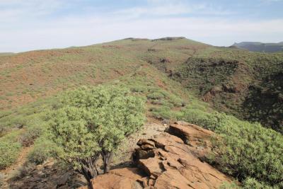 post-4016-0-63884800-1418662139_thumb.jp