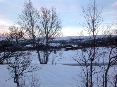 post-4444-0-47015100-1420060279_thumb.jp