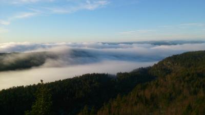 post-8488-0-43637400-1418734887_thumb.jp