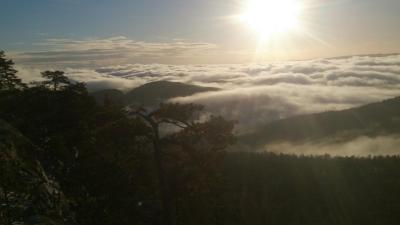 post-8488-0-47131100-1418734908_thumb.jp