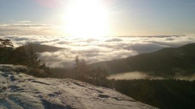 post-8488-0-74594800-1418734964_thumb.jp