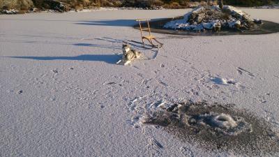 post-8488-0-75431000-1419964017_thumb.jp