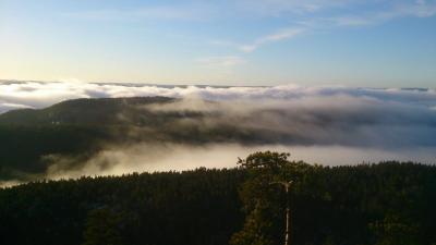 post-8488-0-78093400-1418734980_thumb.jp