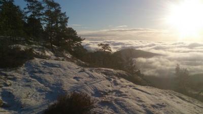 post-8488-0-96551400-1418734943_thumb.jp