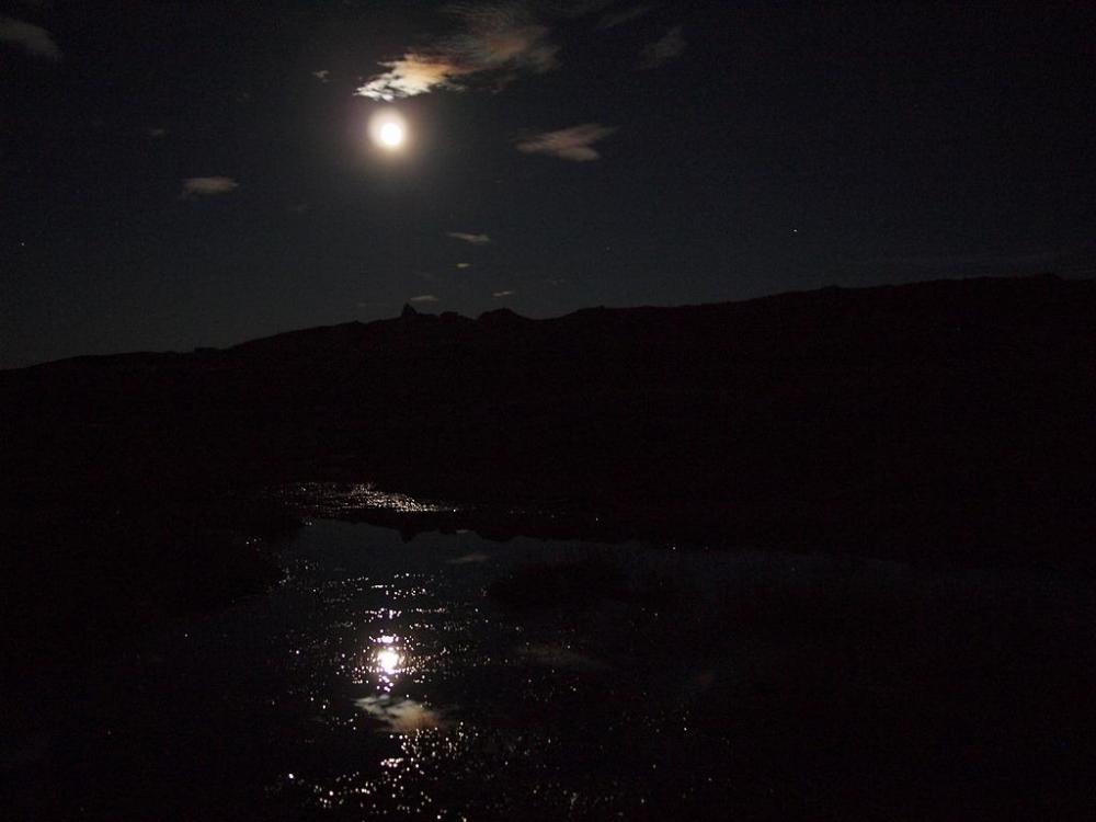 56324eed9e701_Mneipytter(PA280308).thumb