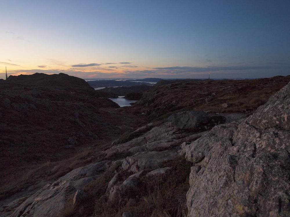 56324ef0da9ac_Tomaster(PA280294).thumb.J