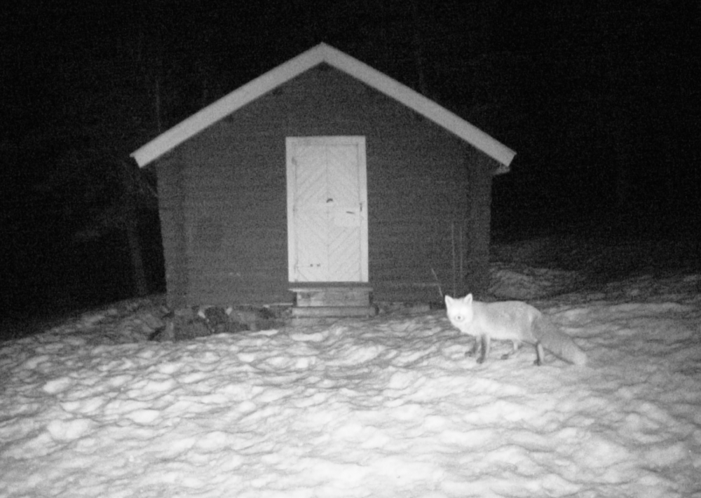 5634d1f2d408f_Skjermbilde2015-10-31kl.16