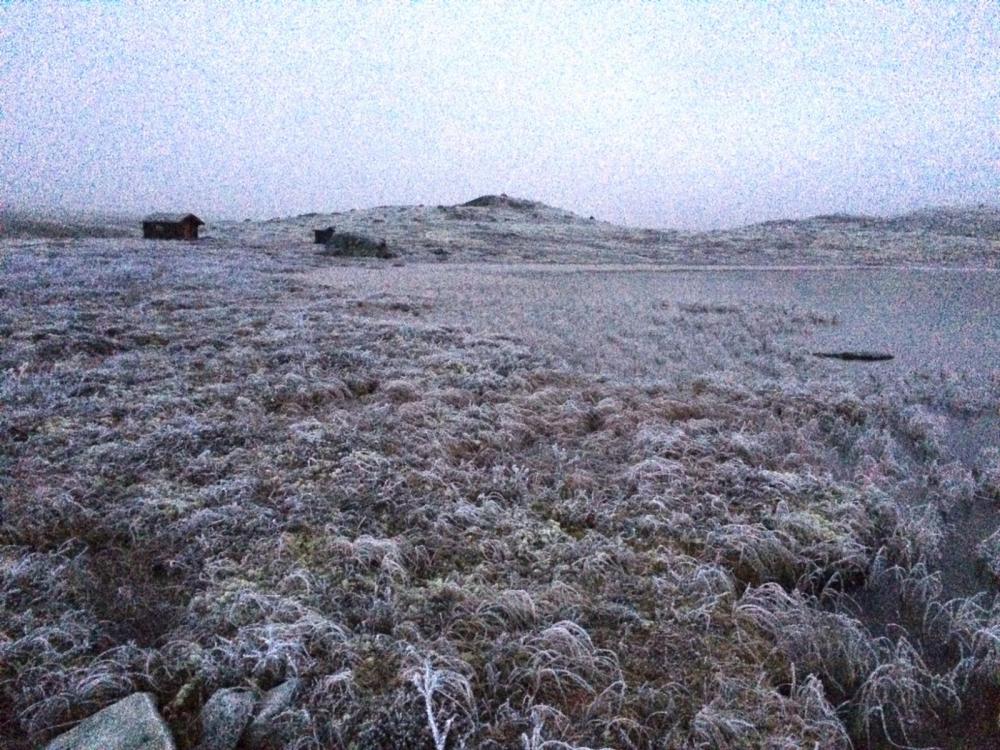 FullSizeRender 2.jpg