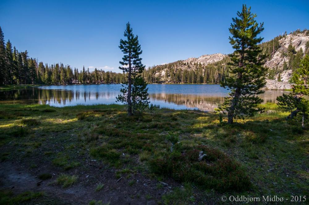 Dag1-4220.thumb.jpg.6fe1f8c4d1ac60be51bf