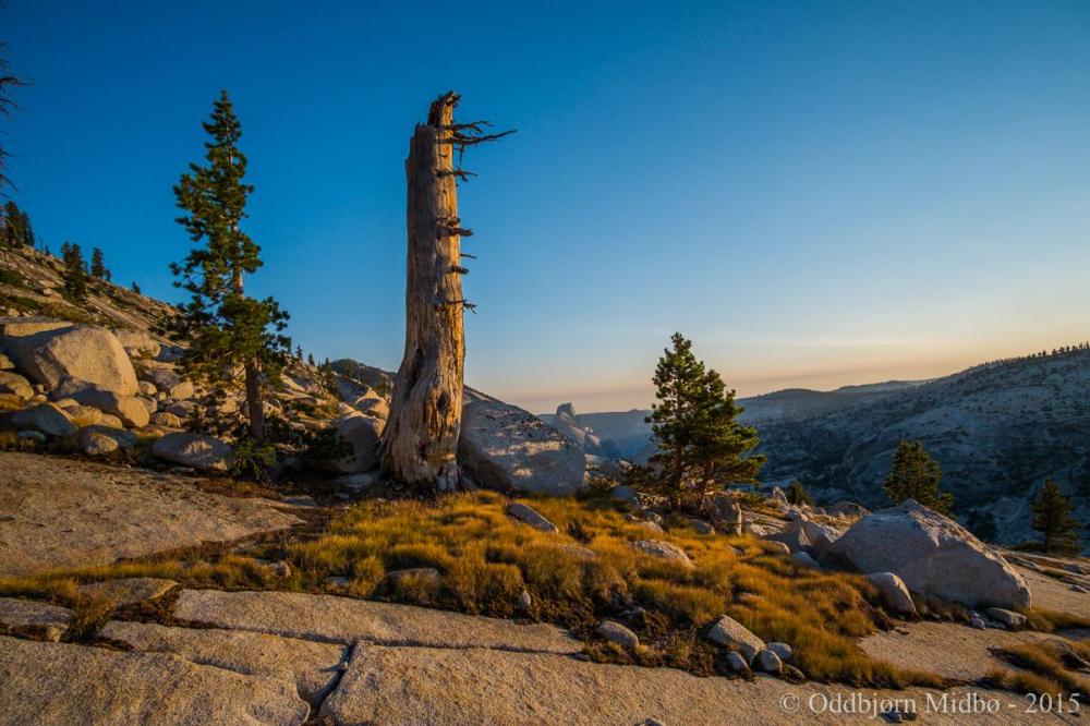 Dag2-4329.thumb.jpg.d6ac080bc1177eba6a69