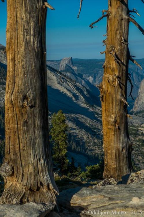 Dag3-4385.thumb.jpg.acfd722d61e39633ad1f