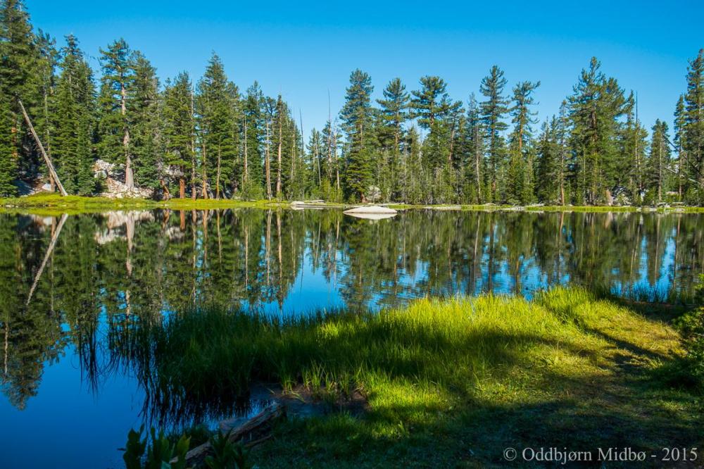 Dag3-4393.thumb.jpg.14f47c3bb5c103b53a12