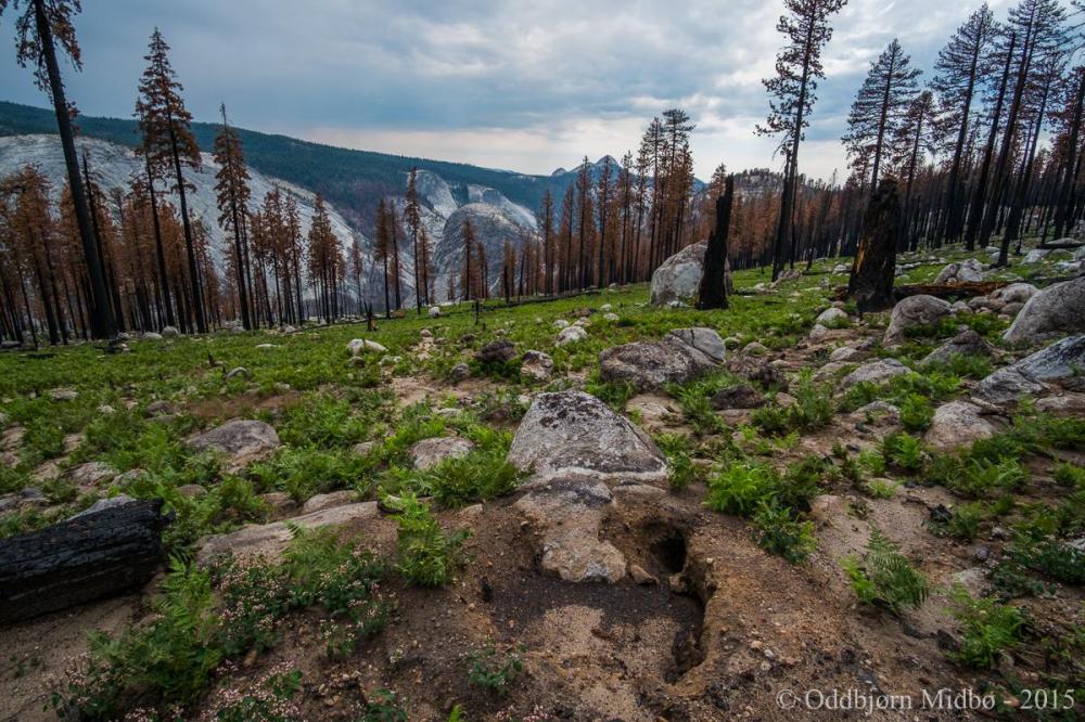 Dag3-4618.thumb.jpg.d12757d185860d1e7df0